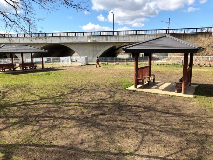 盛岡市中央公園ドッグランフリーエリア