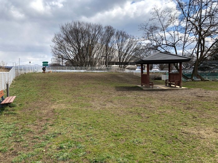 盛岡市中央公園ドッグランフリーエリア