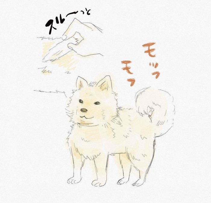 昔実家で飼っていた犬