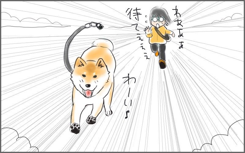 近くの公園を走り回る大五郎(追いかける私)