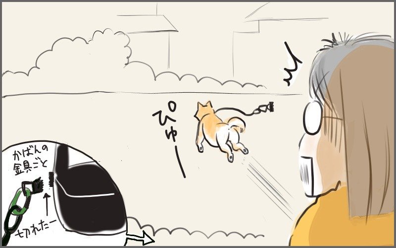 かばんの金具が切れて逃げ出す大五郎!!