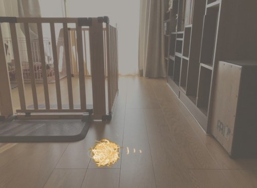 部屋に転がる毛